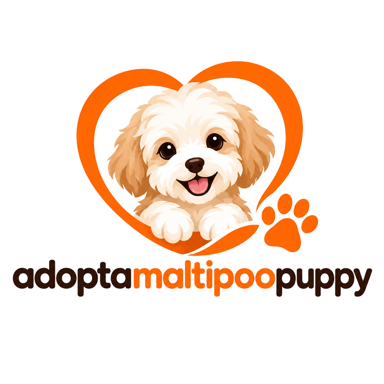 Adopt a Maltipoo Puppy in Miami Florida| maltipoo puppies for sale